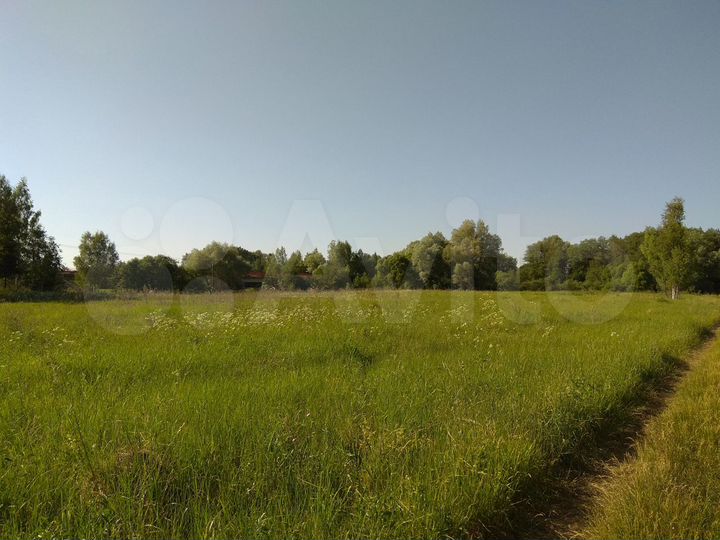 Участок 3 га (ИЖС)