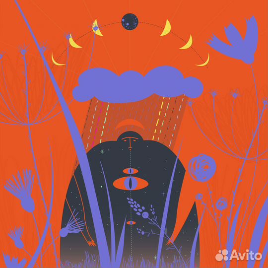 Графический дизайнер, иллюстратор