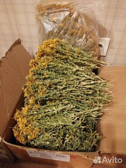 Чабрец/зверобой