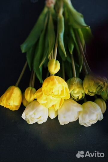 Силиконовые тюльпаны