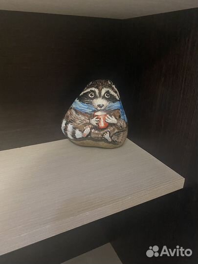 Енот в камне