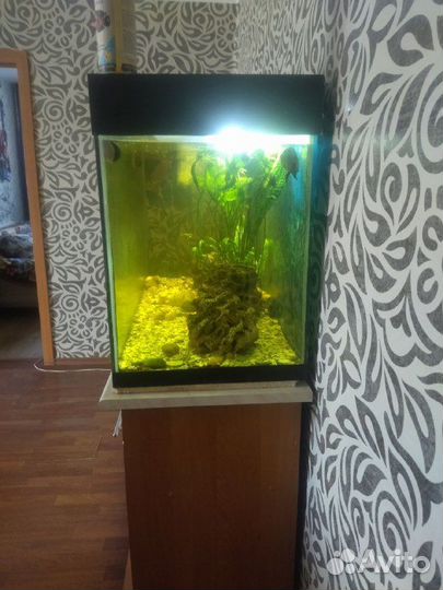 Аквариум с тумбой 460л