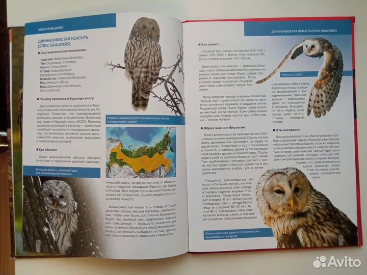 Красная книга