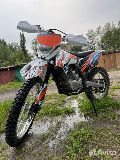 Kayo k1 2022