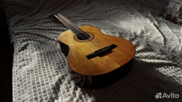 Акустическая гитара Horner HC-06