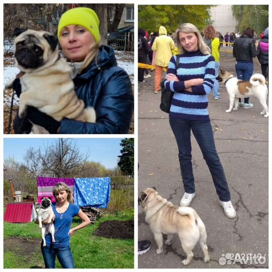 Достойные женихи