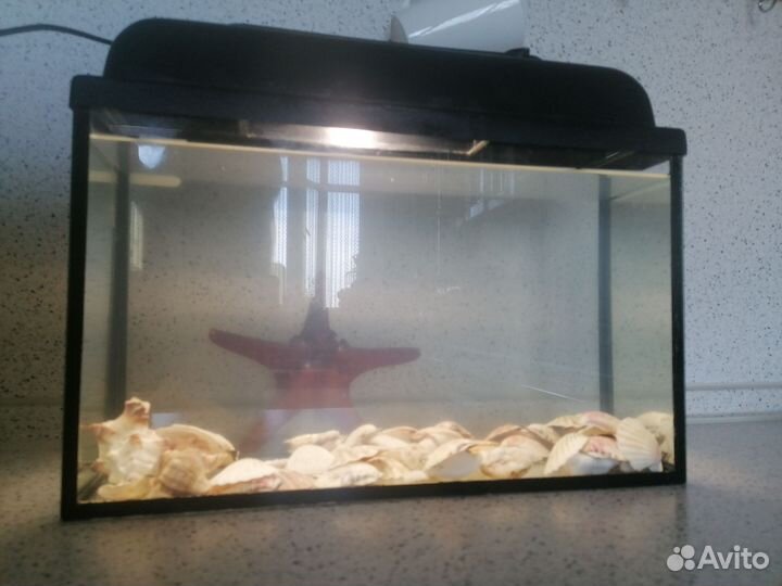 Аквариум