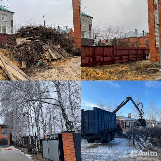 Кронирование деревьев. Спил обрезка деревьев