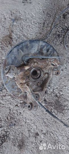 Цапфа задняя левая Nissan Murano