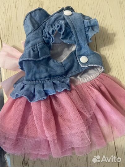 Одежда для собак мелких пород