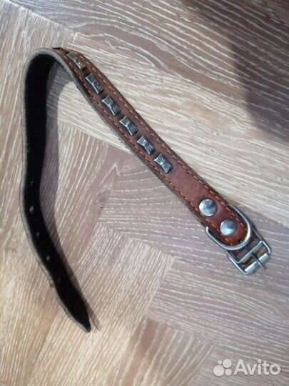 Ошейник для маленькой собаки