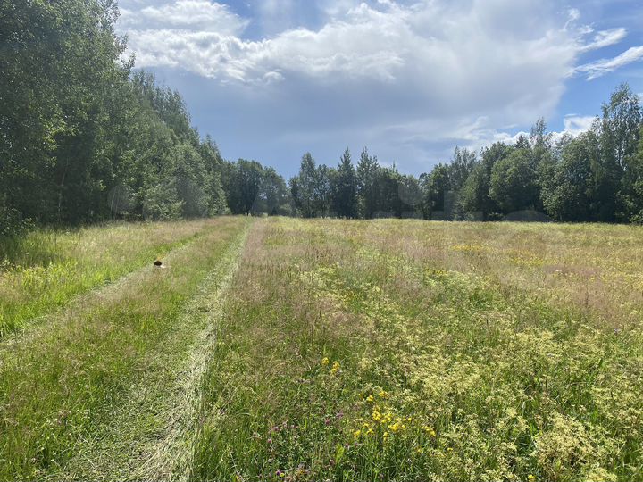 Участок 3,3 га (СНТ, ДНП)