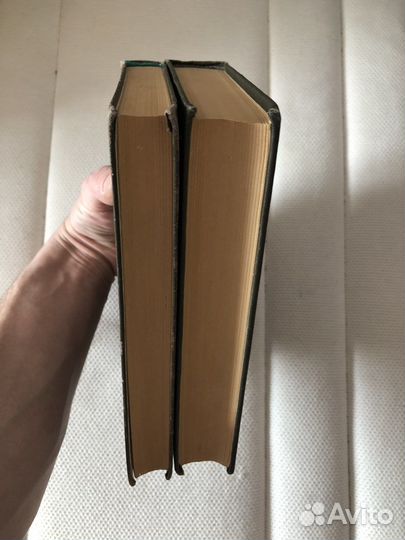 Лоран Шварц. Анализ