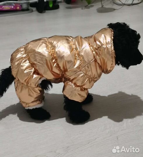 Новый зимний комбинезон для собак, золото, L, XL