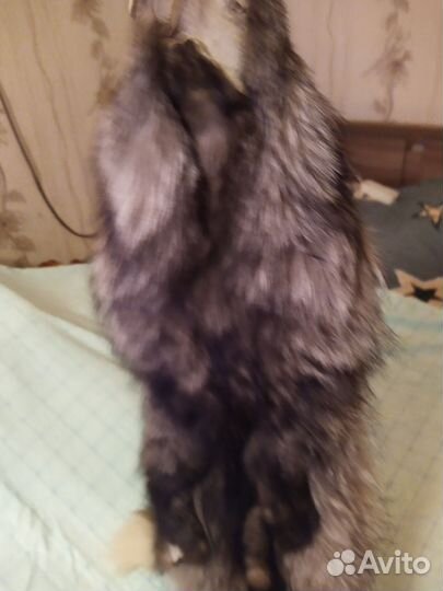 Шкурка чернобурка