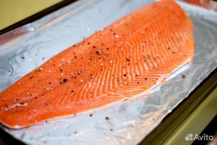 Семга (лосось)