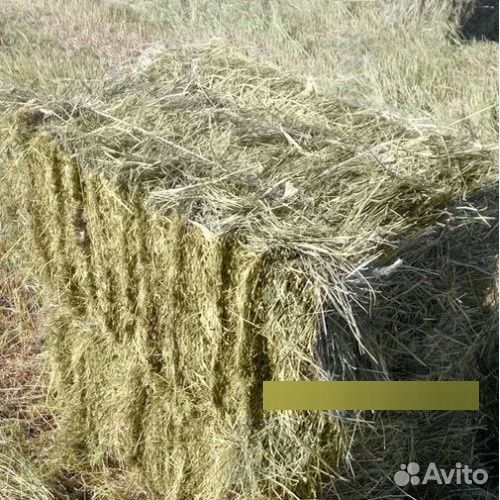 Сено и солома в тюках с доставкой на Газелях
