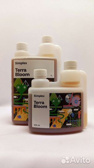 Simplex terra bloom