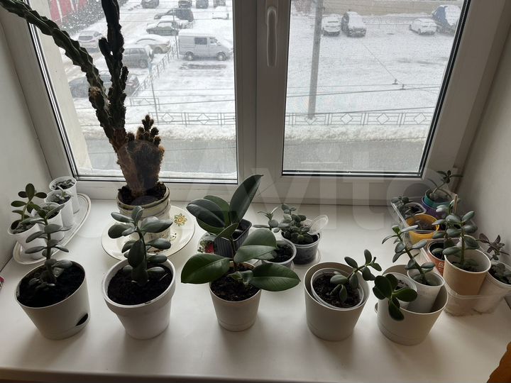 Комната 11,2 м² в 7-к., 3/4 эт.