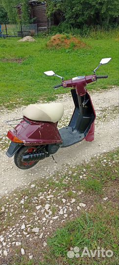 Yamaha mint (cute)