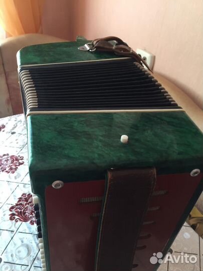 Баян россия