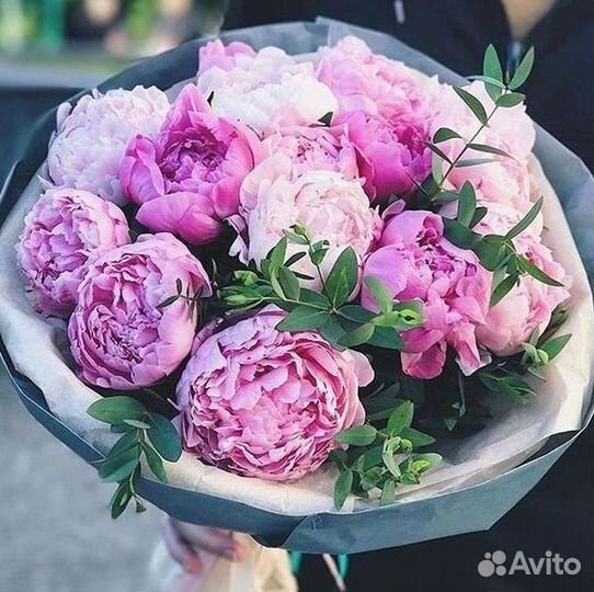 Пионы Букеты Цветы Доставка
