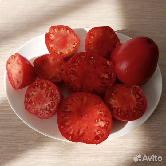 Семена томатов помидор