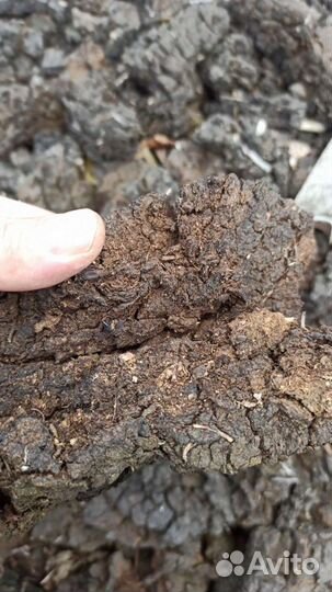 Сухой торф в брикетах