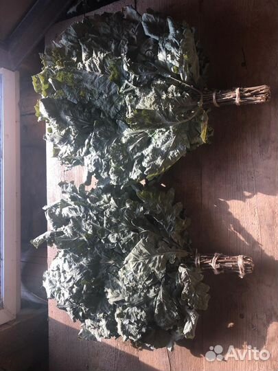 Березовые Дубовые веники для бани