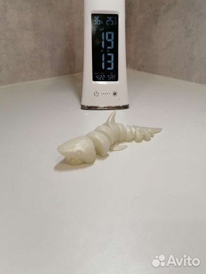 Подвижная акула