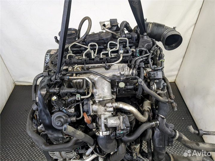 Двигатель Volkswagen Golf 5, 2009