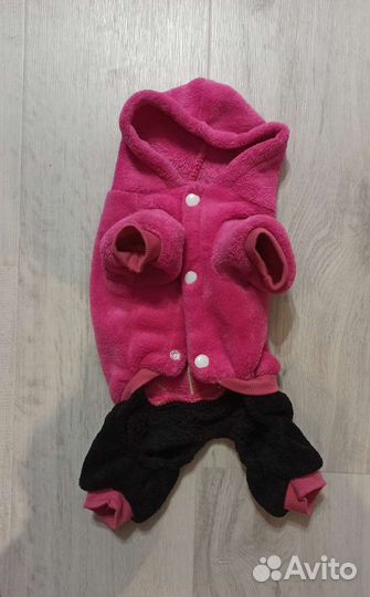 Одежда для собаки