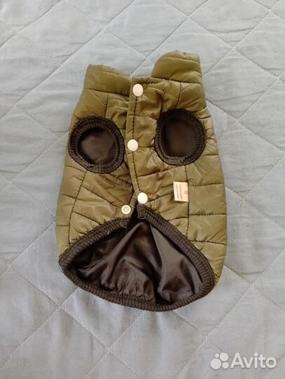 Одежда для маленьких собак