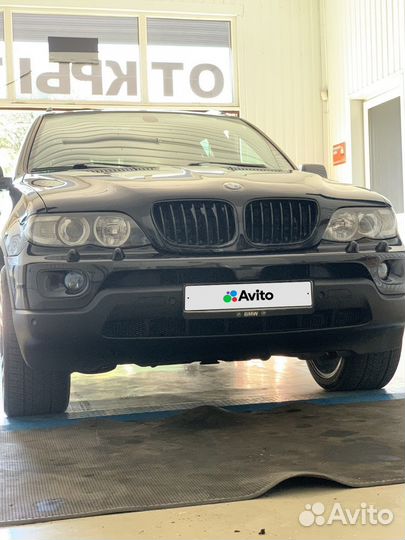 BMW X5 3.0 AT, 2004, 259 060 км