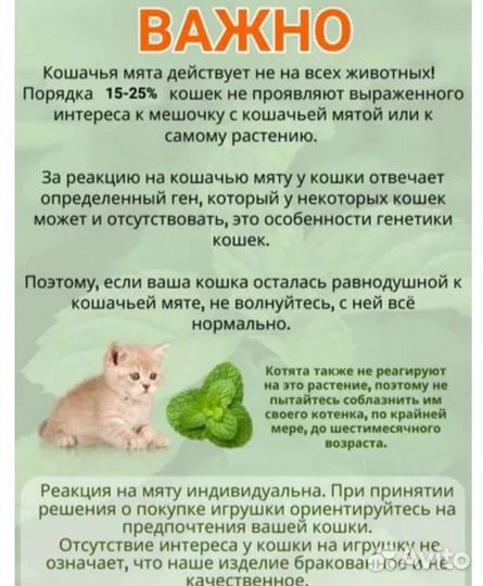 Кошачий мятный леденец/ Кошачья мята