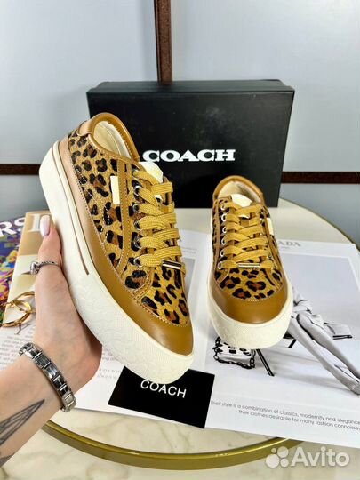 Кеды coach