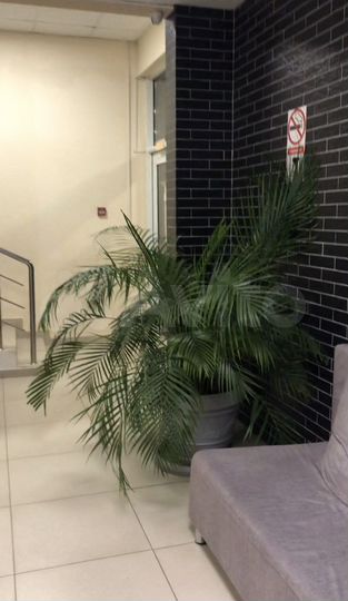 Квартира-студия, 34 м², 9/12 эт.