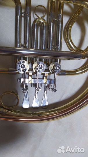 Валторна Roy Benson