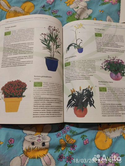 Энциклопедия комнатного цветоводства