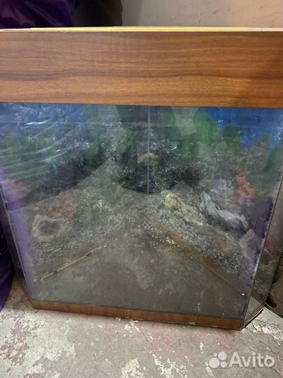 Аквариум угловой