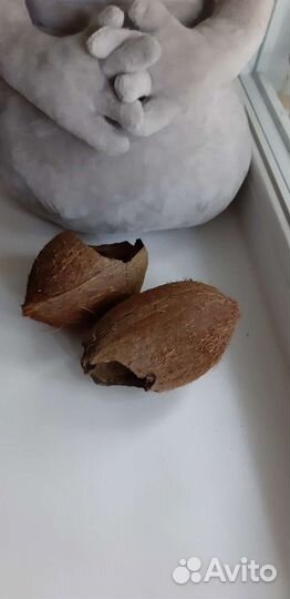 Скорлупа кокоса натуральная