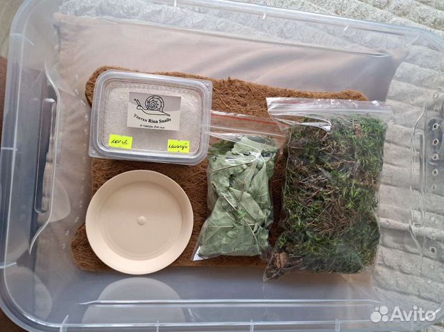 Товары, набор для улиток