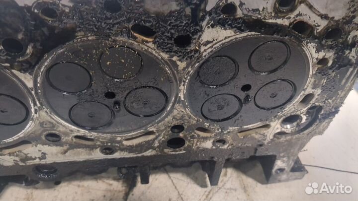 Головка блока (ГБЦ) Ford Transit, 2010