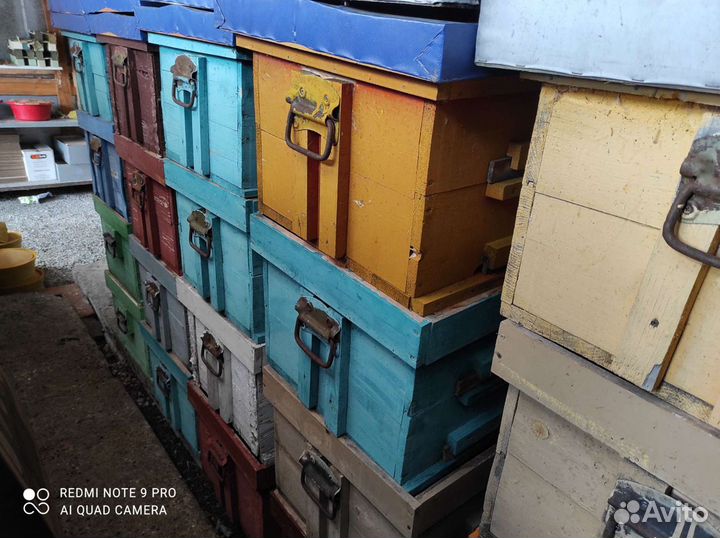 Пчелы улья пасеку