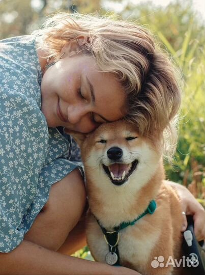 Зоопсихолог, гуманный кинолог