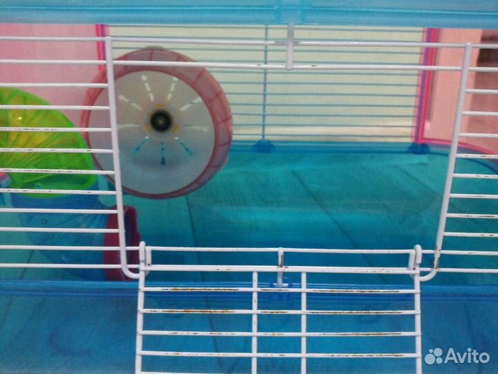 Клетка для джунгарского хомяка