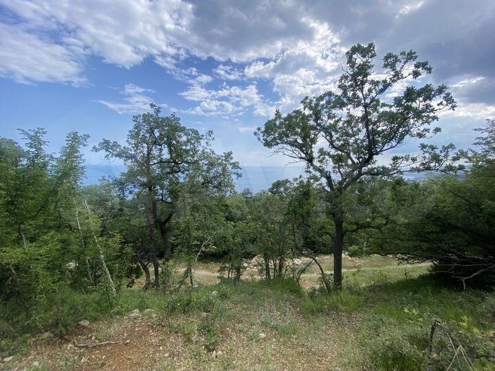 Участок 15 сот. (ИЖС)