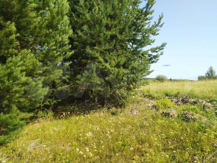 Участок 39 сот. (ИЖС)