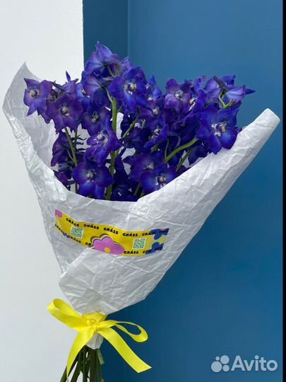 Монобукет из дельфиниумов