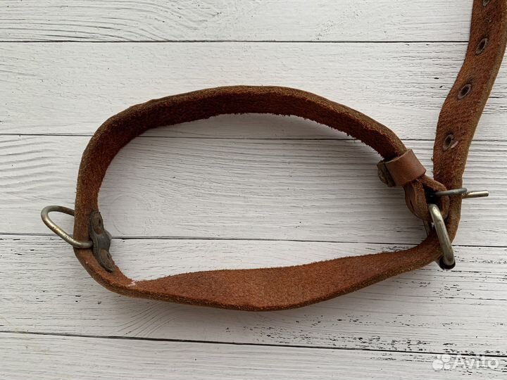 Поводок и ошейник